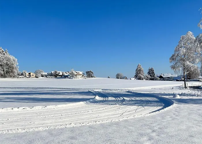 Ruhige,Gemuetliche Ferienwohnung